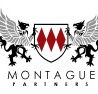 Montague Partners - Sunshine Coast Accountants