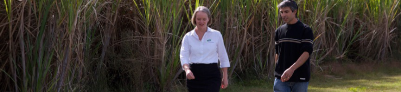 Maclean NSW Sunshine Coast Accountants