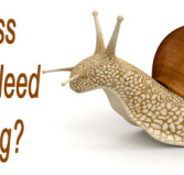 Avance - Sunshine Coast Accountants