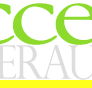 Access Super Audit Pty Ltd - Sunshine Coast Accountants