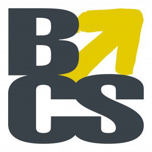 BCS Super Auditors - Sunshine Coast Accountants 0