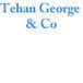 Tehan George & Co - Sunshine Coast Accountants 0
