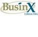 BusinX Consulting