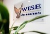 Wise Accountants Pty Ltd - Sunshine Coast Accountants 0