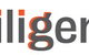 Diligent Accountants - thumb 0