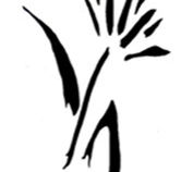 Bloomfield  Associates - Sunshine Coast Accountants