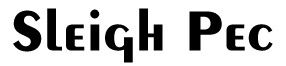 Sleigh PEC - Sunshine Coast Accountants 0