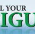 All Your Figures - Sunshine Coast Accountants