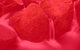 RedFrog Bookkeeping - thumb 0