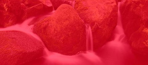 RedFrog Bookkeeping - Sunshine Coast Accountants 0