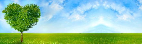 BBS - Business Bookkeeping Solutions - Sunshine Coast Accountants 3