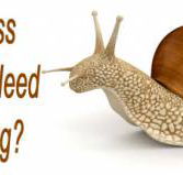Avance - Sunshine Coast Accountants