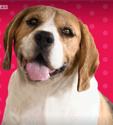 Synergy Professional Accounting Solutions - Sunshine Coast Accountants 0