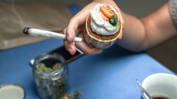 Cannabis cafes may become tourist draw in US city as lung experts cite 'toxic chemical' concerns Sunshine Coast Accountants