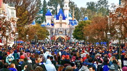 Disneyland guests left scrambling after water outage shuts bathrooms and restaurants Sunshine Coast Accountants