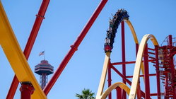 Popular amusement park bans guest for life after roller coaster stunt viral video Sunshine Coast Accountants