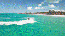 US travelers warned after deadly rides and sexual assaults tied to beach vendors Sunshine Coast Accountants